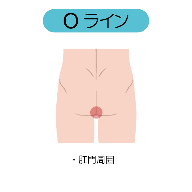 男性 Oライン